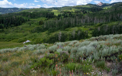 Colorado River Valley