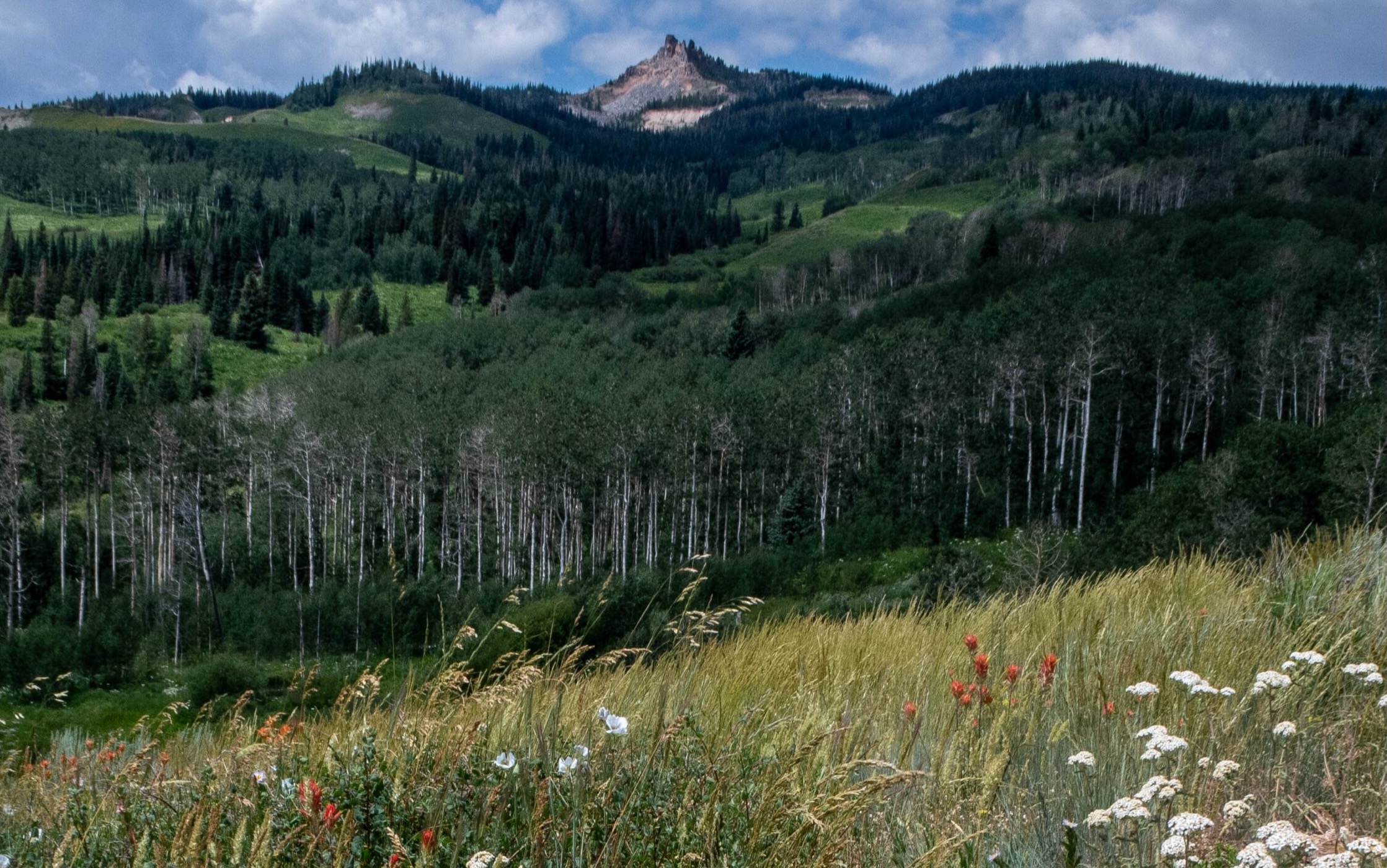 Colorado River Valley